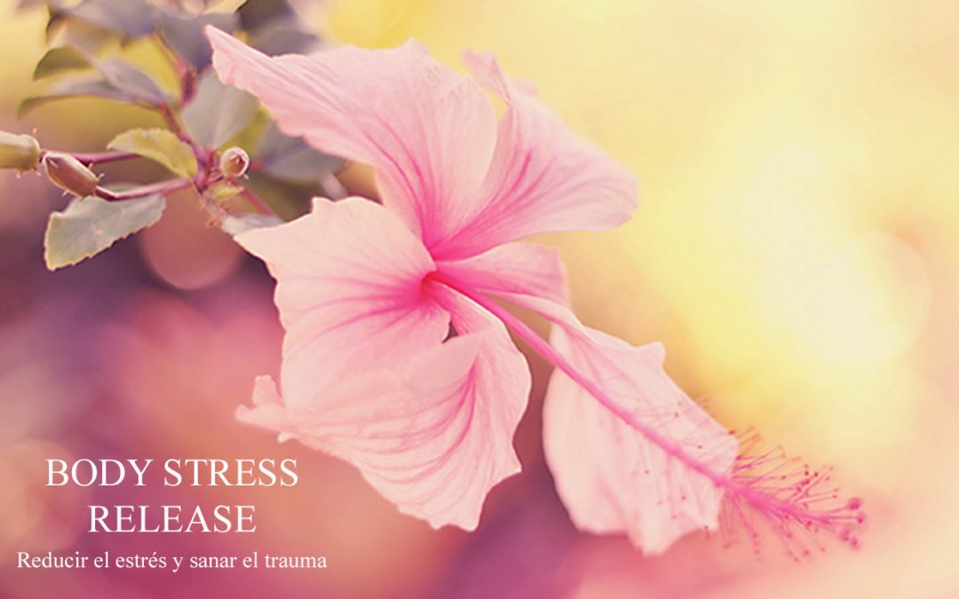 Taller “Body Stress Release” – Descargar el estrés y sanar el trauma.